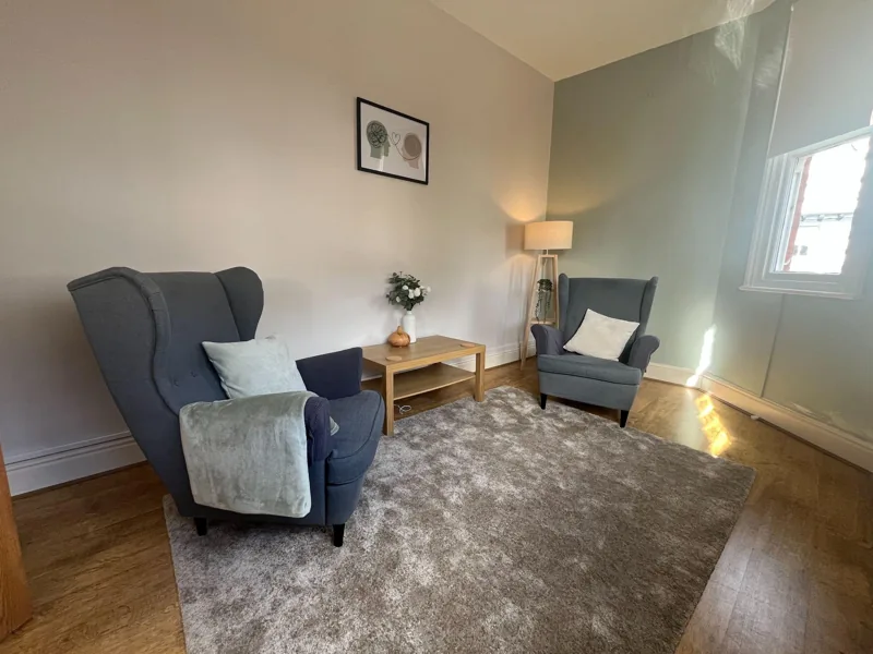Two comfortable armchairs and a soft rug in Haven